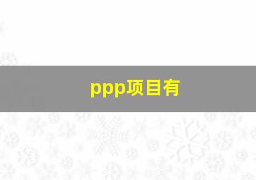 ppp项目有