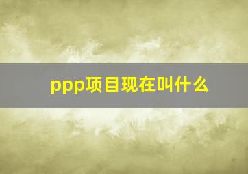 ppp项目现在叫什么