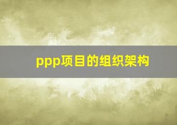 ppp项目的组织架构