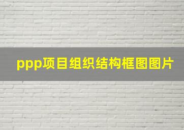 ppp项目组织结构框图图片