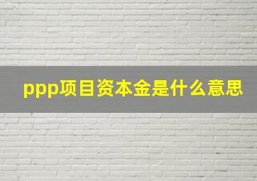 ppp项目资本金是什么意思