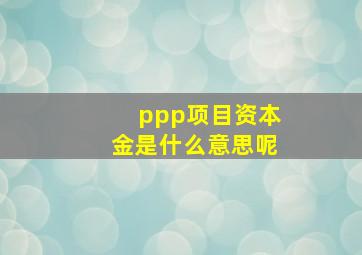 ppp项目资本金是什么意思呢