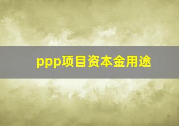 ppp项目资本金用途