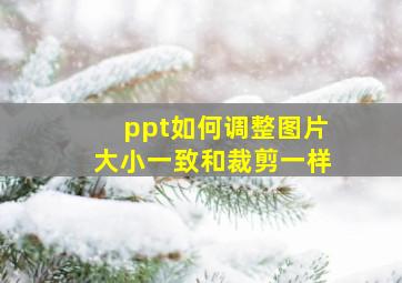 ppt如何调整图片大小一致和裁剪一样