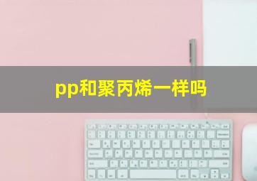 pp和聚丙烯一样吗