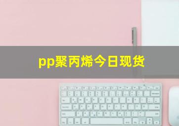 pp聚丙烯今日现货