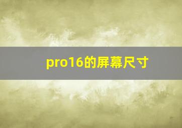 pro16的屏幕尺寸