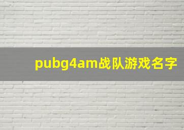 pubg4am战队游戏名字