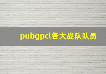 pubgpcl各大战队队员