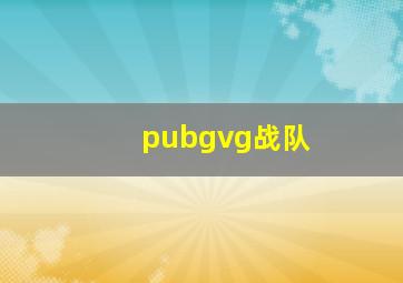 pubgvg战队