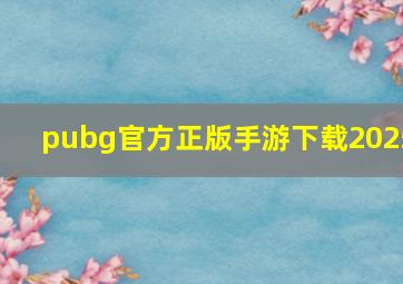 pubg官方正版手游下载2025