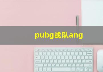 pubg战队ang