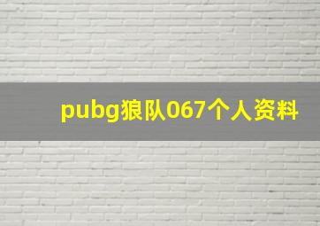 pubg狼队067个人资料