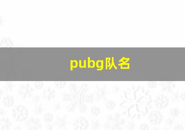 pubg队名