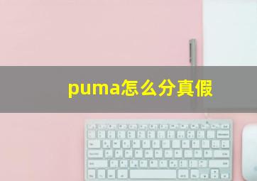 puma怎么分真假