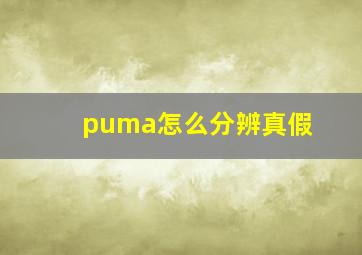 puma怎么分辨真假