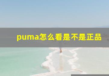 puma怎么看是不是正品