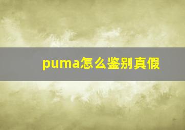 puma怎么鉴别真假