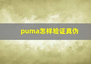 puma怎样验证真伪