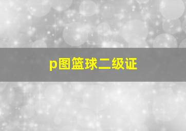 p图篮球二级证