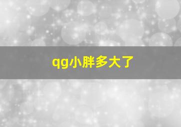 qg小胖多大了