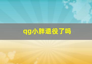 qg小胖退役了吗