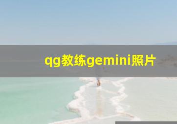 qg教练gemini照片