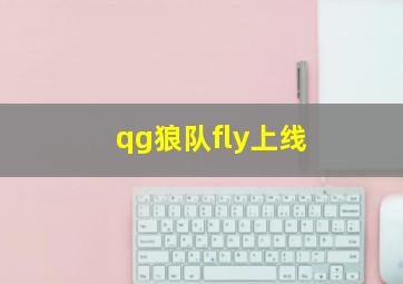 qg狼队fly上线