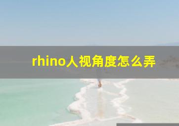 rhino人视角度怎么弄