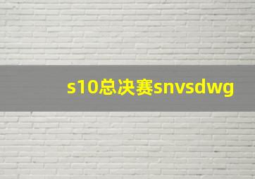 s10总决赛snvsdwg