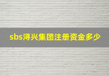 sbs浔兴集团注册资金多少