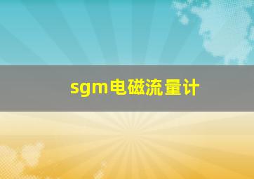 sgm电磁流量计