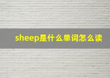 sheep是什么单词怎么读