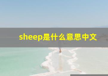 sheep是什么意思中文