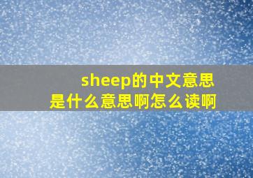 sheep的中文意思是什么意思啊怎么读啊