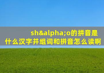 shαo的拼音是什么汉字并组词和拼音怎么读啊