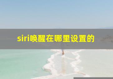 siri唤醒在哪里设置的