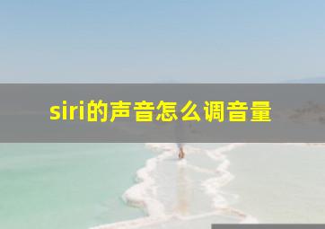 siri的声音怎么调音量