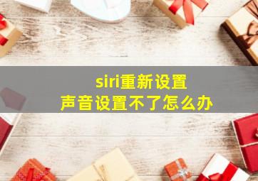 siri重新设置声音设置不了怎么办