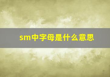 sm中字母是什么意思