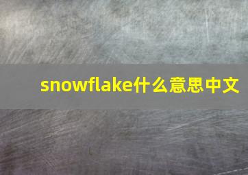 snowflake什么意思中文