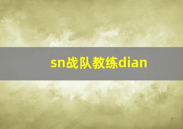 sn战队教练dian