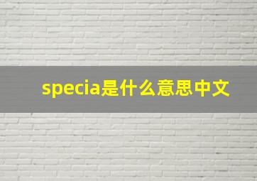 specia是什么意思中文