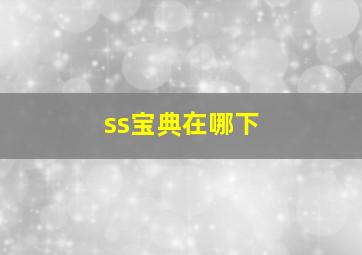 ss宝典在哪下