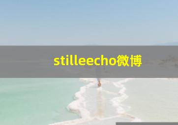 stilleecho微博