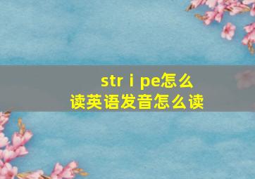 strⅰpe怎么读英语发音怎么读