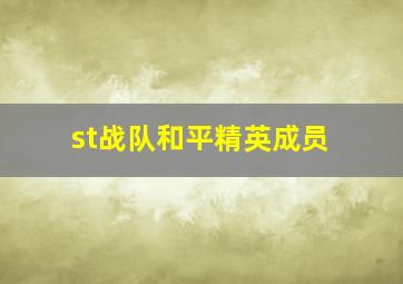 st战队和平精英成员