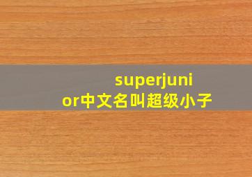 superjunior中文名叫超级小子