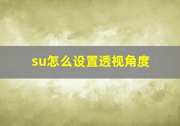 su怎么设置透视角度