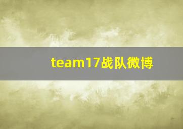 team17战队微博